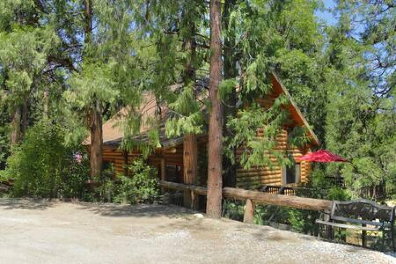 Eagles Nest - Natural Log Cabin With Guest House Idyllwild Zewnętrze zdjęcie