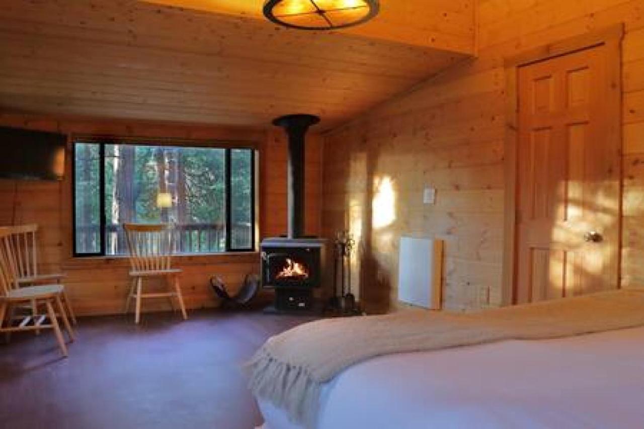 Eagles Nest - Natural Log Cabin With Guest House Idyllwild Zewnętrze zdjęcie