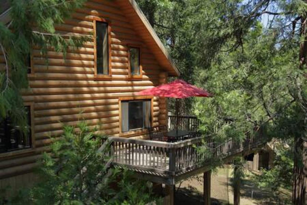 Eagles Nest - Natural Log Cabin With Guest House Idyllwild Zewnętrze zdjęcie